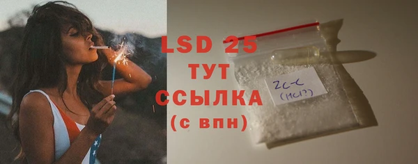 сатива Корсаков